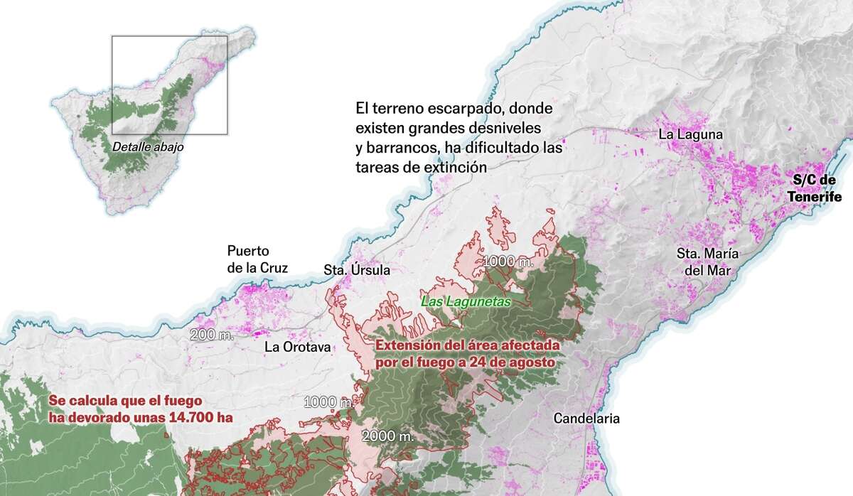 Why Did the Tenerife Wildfire Spread So Rapidly?